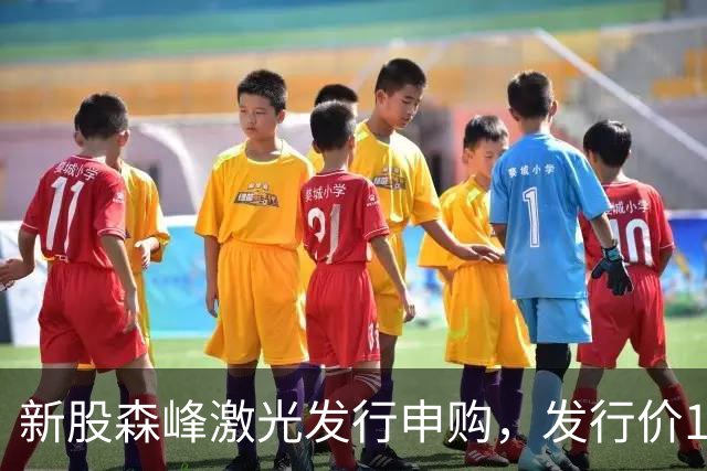 新股森峰激光发行申购，发行价17.79元，股民打新都不积极了！