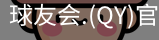 qy球友会